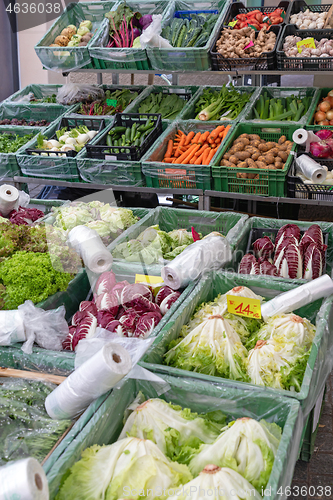 Image of Leafy Greens