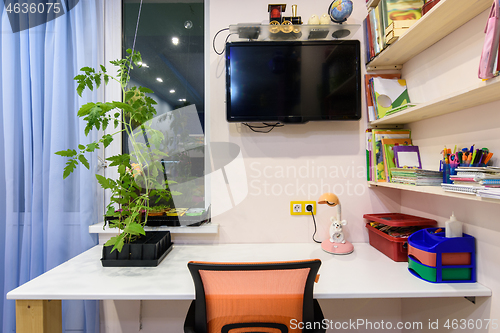 Image of A desk in the children\'s room, on the wall a TV and shelves for school books