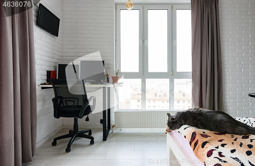 Image of Bedroom interior with office worker workplace, cat sleeps on bed