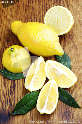 Image of Fresh Ripe Lunario Lemons