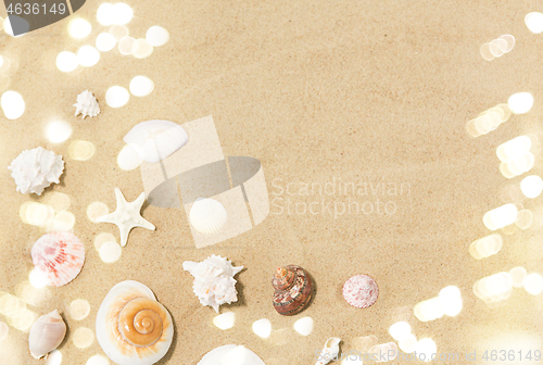 Image of seashells on beach sand