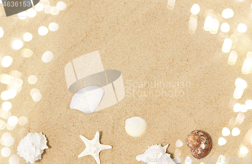 Image of seashells on beach sand