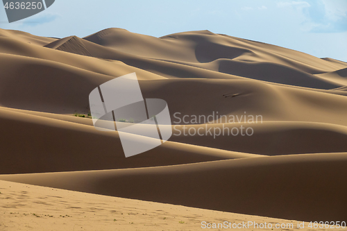 Image of Sand dunes in desert at sunset