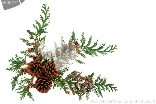 Image of Cedar Cypress Leaves and Pine Cone Decoration