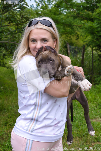 Image of Blonde hugs Amstaff puppy