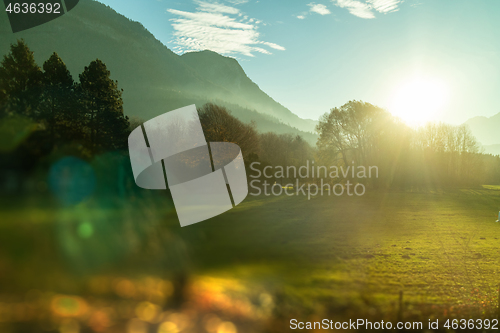 Image of Natural landscape with trees, mountains and blurred forefront, Austria.