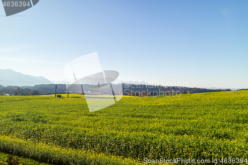 Image of Autumn landscape with green farm agricultural fields and blue sky, Austria.