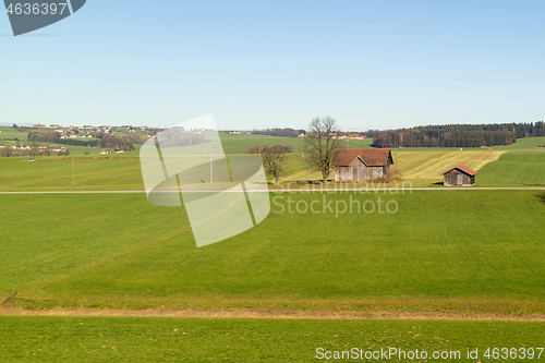 Image of Rural landscape with green fields in autumn time, Austia.