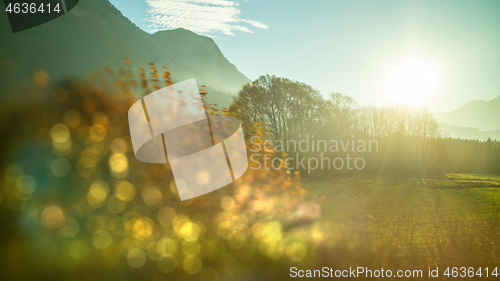 Image of Creative landscape with blurred forefront on a sunny sky background, Austria.