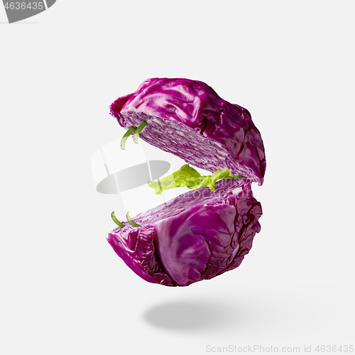 Image of ?ut purrple cabbage as a flying open creative mouth with teeth.