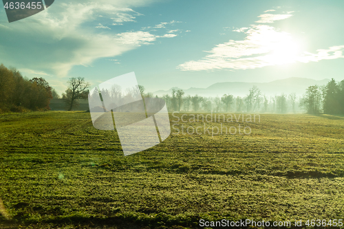 Image of Sunny morning natural landscape with agricultural fields , Austria.