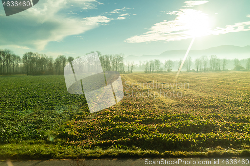 Image of Agricultural green fields and areas under bright sun in Austria country.