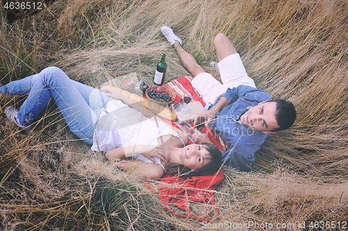 Image of happy couple enjoying countryside picnic in long grass