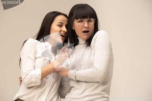 Image of A portrait of a happy mother and daughter