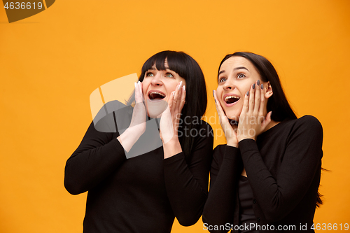 Image of A portrait of a surprised mother and daughter