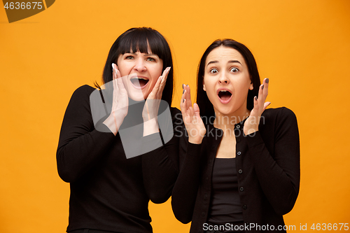 Image of A portrait of a surprised mother and daughter