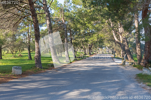 Image of Asylum Road Saint Remy