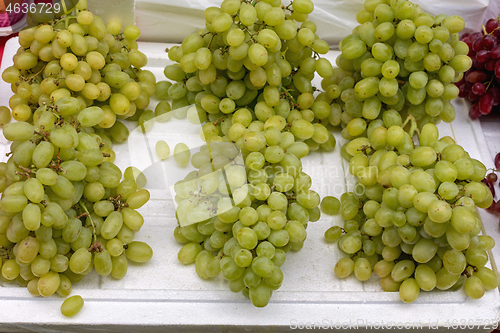 Image of Grapes