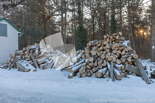 Image of Firewood Behind Cabin