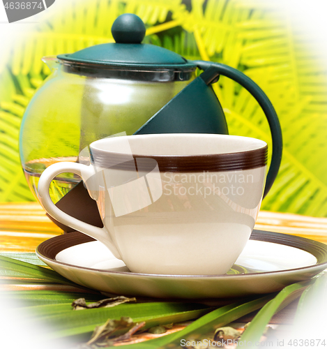 Image of Green Tea Cup Shows Drink Refreshes And Beverages 