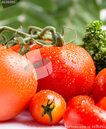 Image of Selection of fresh red tomatoes and green salad 