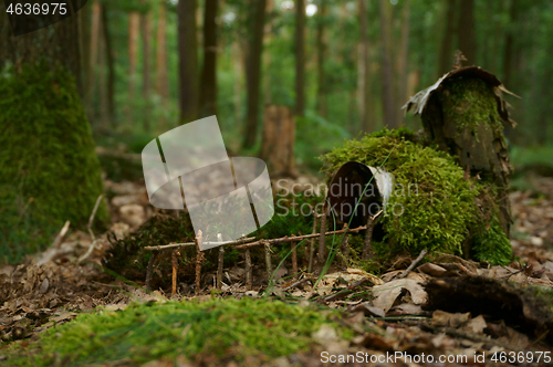 Image of small house in the moss