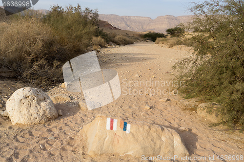 Image of Travel in Israel negev desert landscape