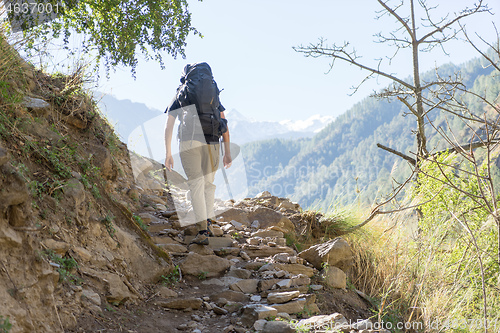 Image of Tourists himing in trek of Nepal