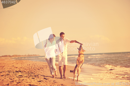 Image of happy family playing with dog on beach