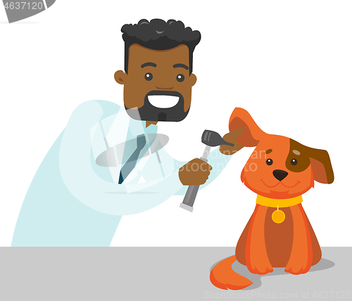 Image of African-american veterinarian examining dog.