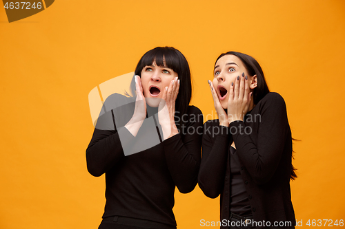 Image of A portrait of a surprised mother and daughter