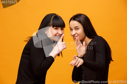 Image of A portrait of a happy mother and daughter