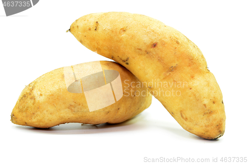 Image of Sweet potatoes isolated