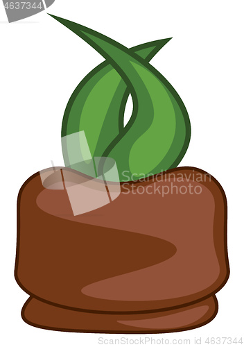 Image of The clipart of a brown-colored carrot plant vector or color illu