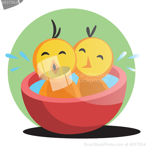 Image of Two cute yellow chick bathing illustration web vector on white b