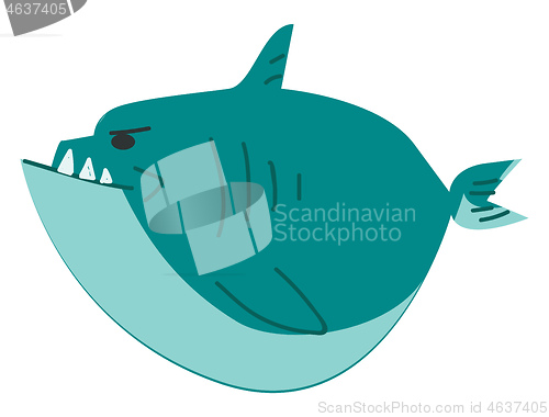 Image of A blue shark one of the most feared sea animals vector color dra
