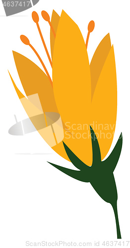 Image of Flower with yellow petals vector or color illustration