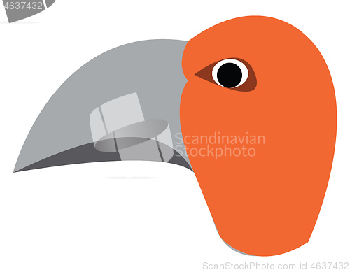 Image of Angry bird with sharp beak vector or color illustration