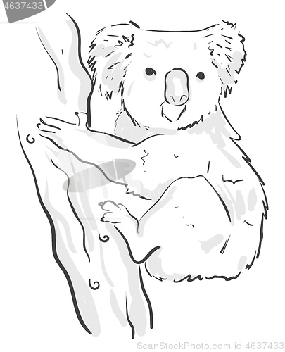 Image of A black sketch of a koala climbing on the tree vector or color i