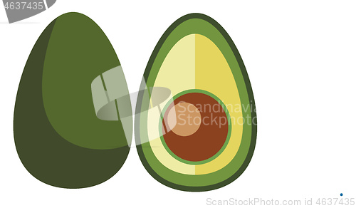 Image of Extremely nutritious superfood avocado is cut in half vector col