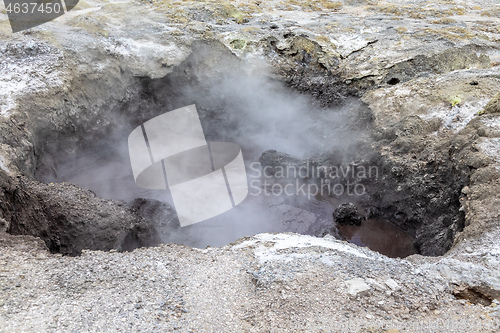 Image of geothermal activity at Rotorua in New Zealand