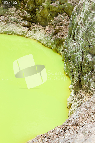 Image of geothermal activity at Rotorua in New Zealand