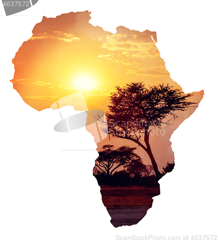 Image of African sunset with acacia, Map of africa concept