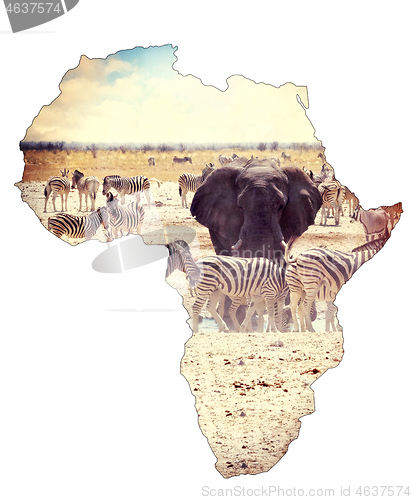 Image of Map of africa continent concept, safari on waterhole with elephants