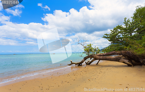 Image of Beautiful dream paradise beach, Madagascar