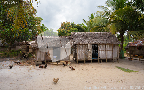 Image of African malagasy huts in Maroantsetra region, Madagascar