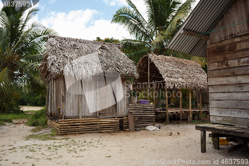 Image of African malagasy huts in Maroantsetra region, Madagascar