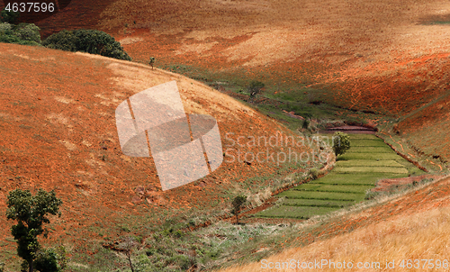 Image of Road through Madagascar highland countryside landscape.