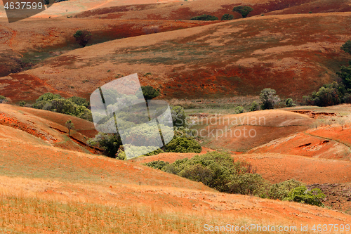 Image of Madagascar countryside highland landscape