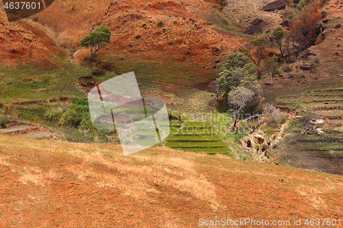 Image of Road through Madagascar highland countryside landscape.